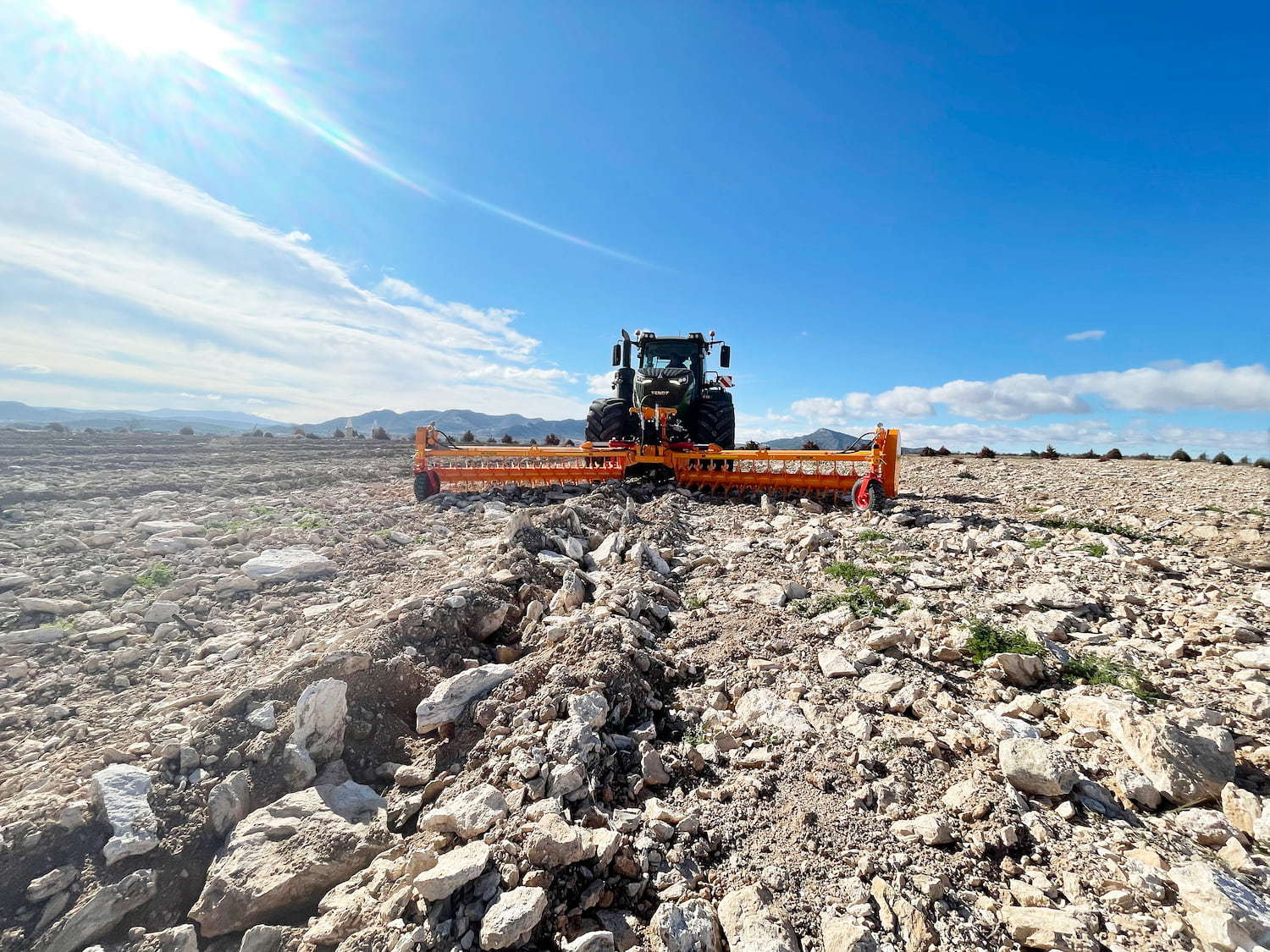 Rastrillo hilerador de piedras RF 11