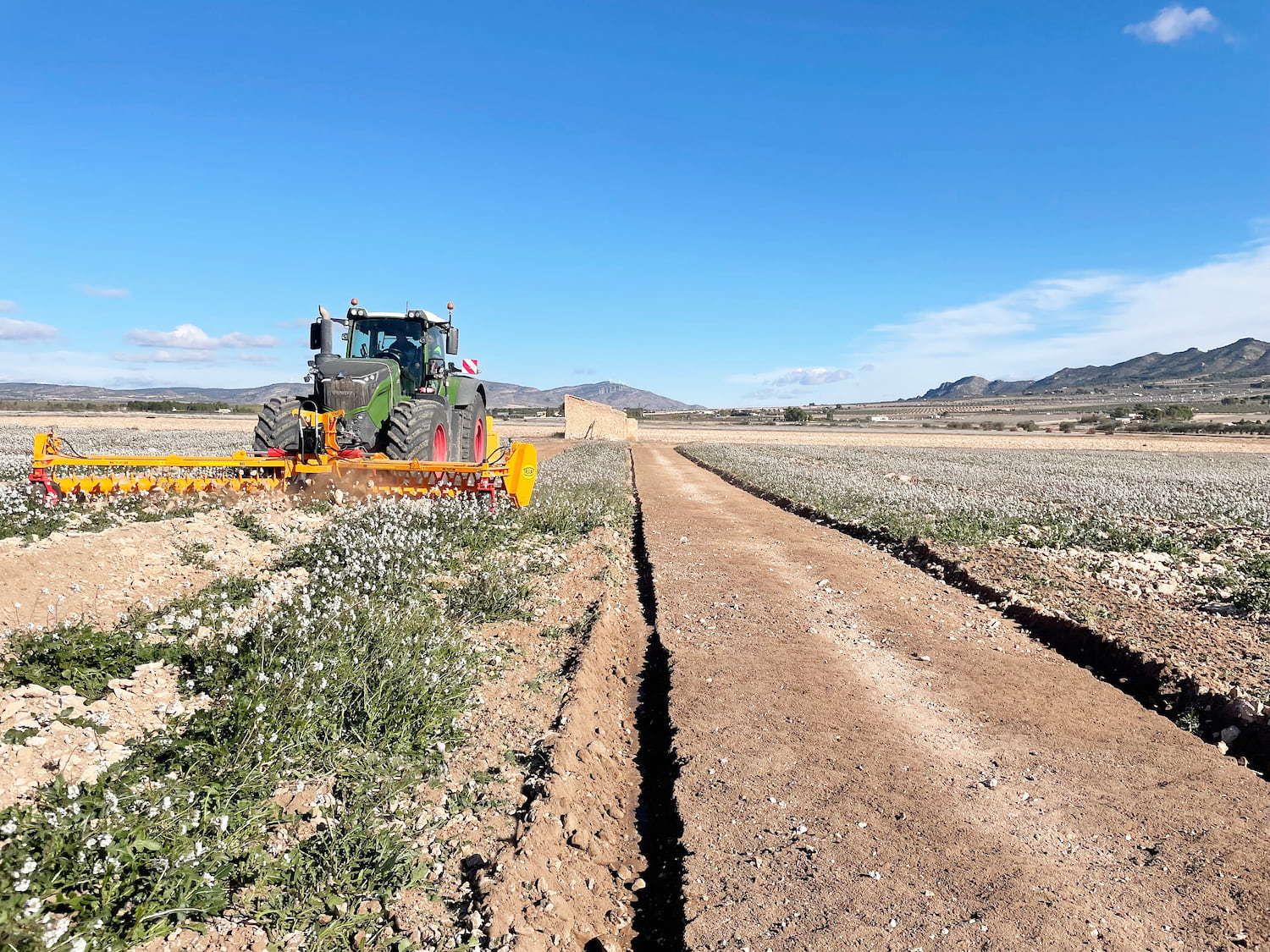 Rastrillo hilerador de piedras RF 16
