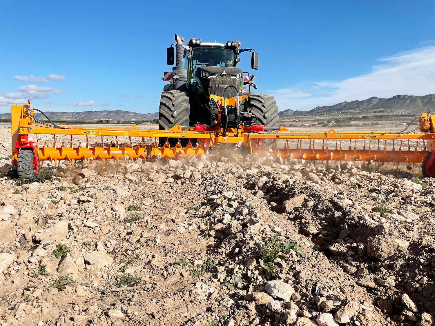 Rastrillo hilerador de piedras RF 19