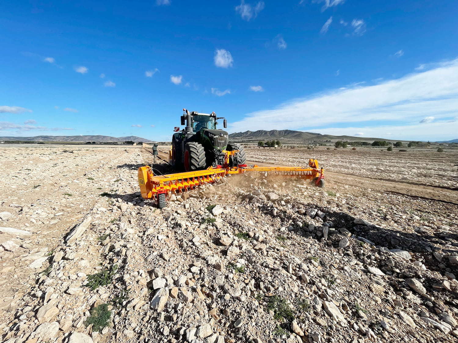 Rastrillo hilerador de piedras RF 22