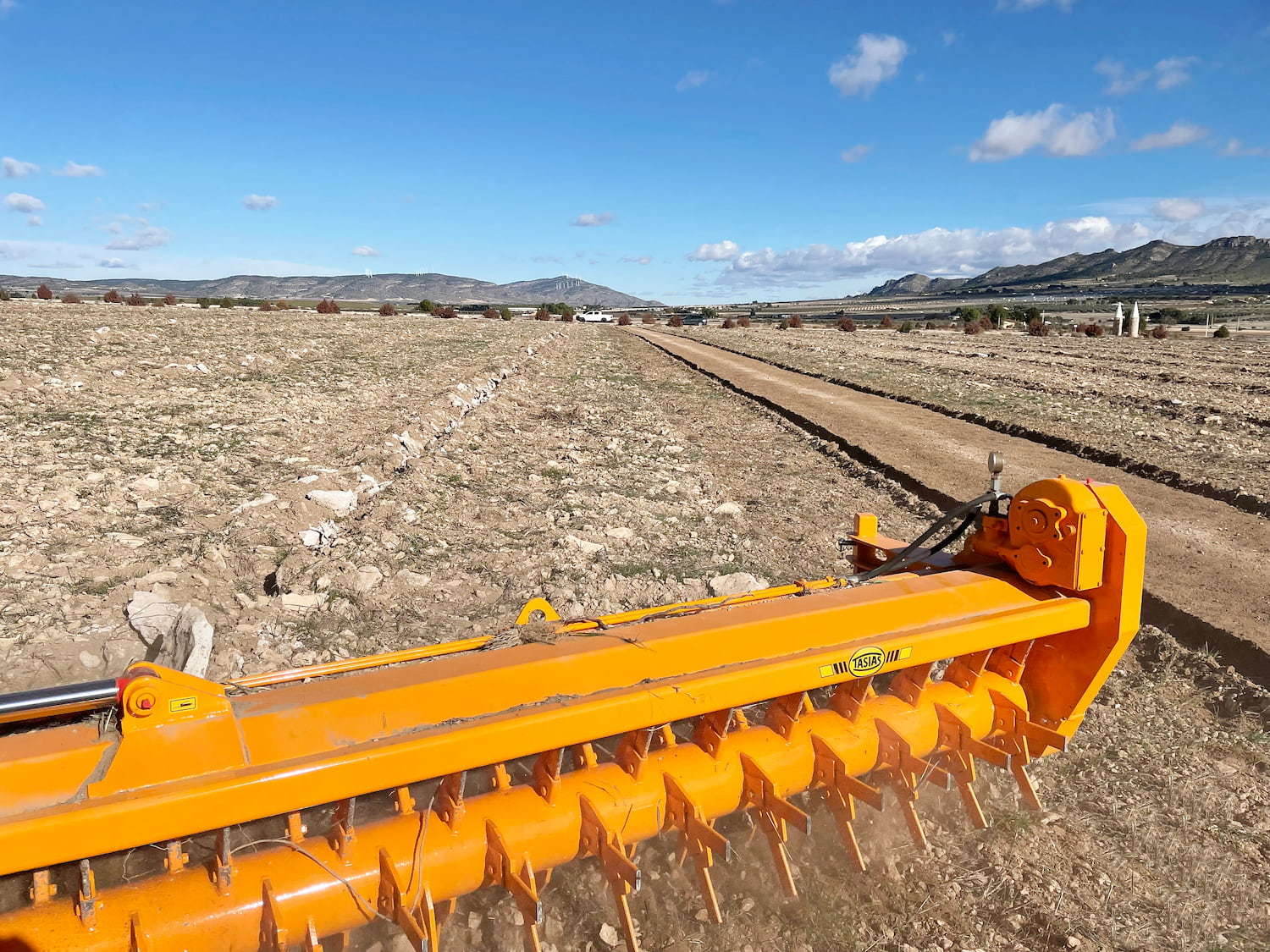 Rastrillo hilerador de piedras RF 33