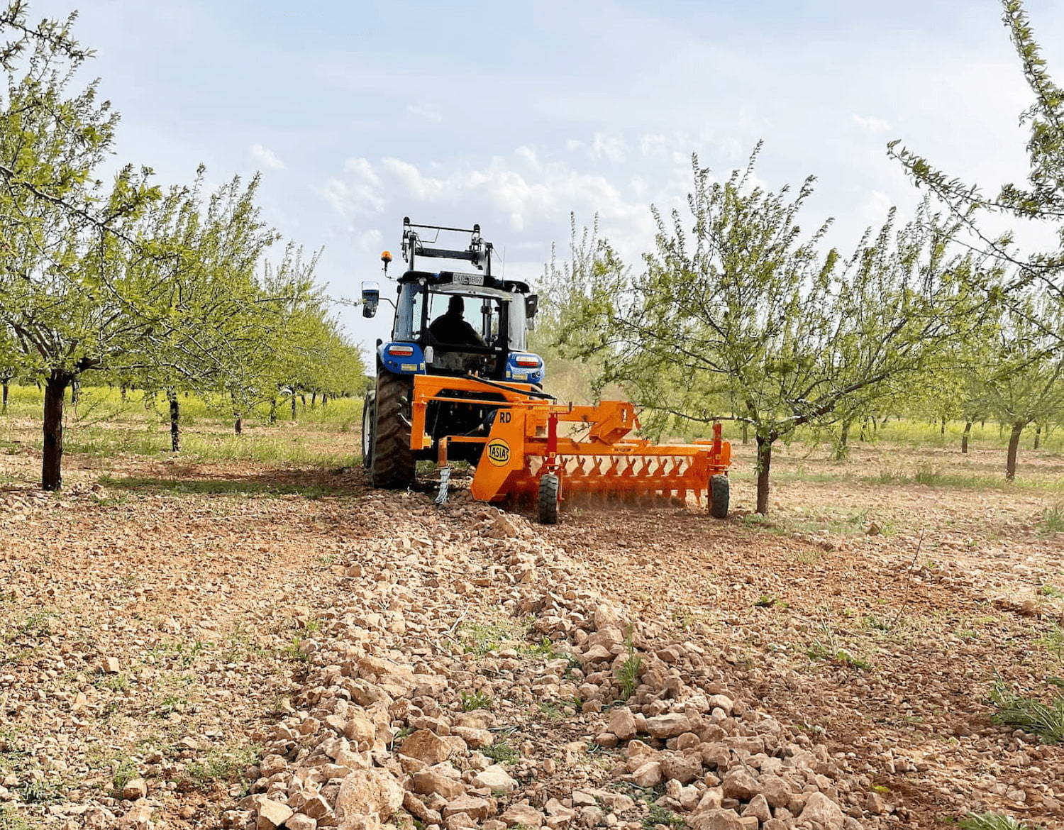 Rastrillo hilerador de piedras RD 16