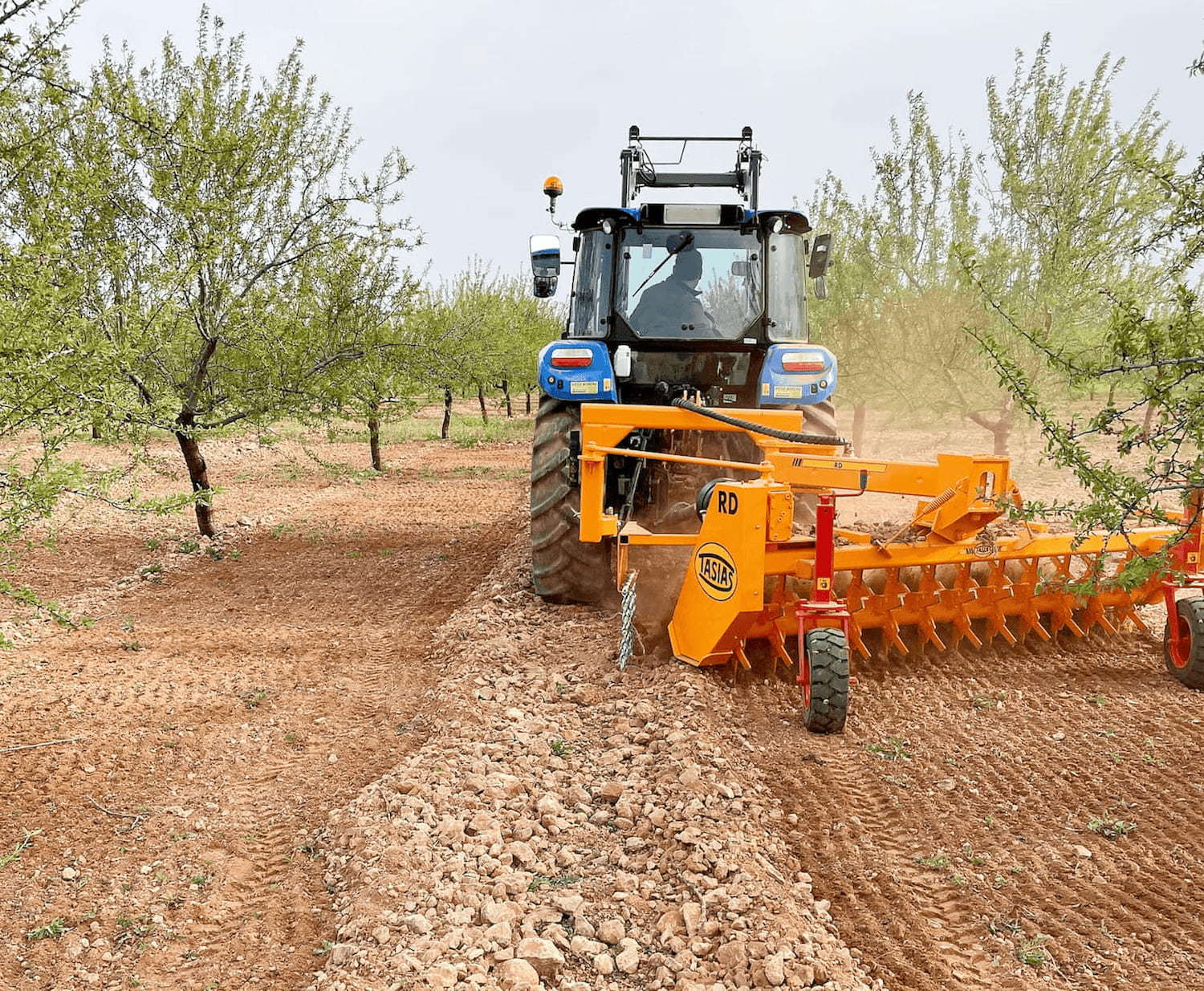 Rastrillo hilerador de piedras RD 14
